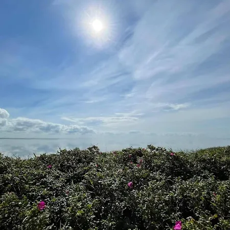 4 Person In Ringkobing-by Traum