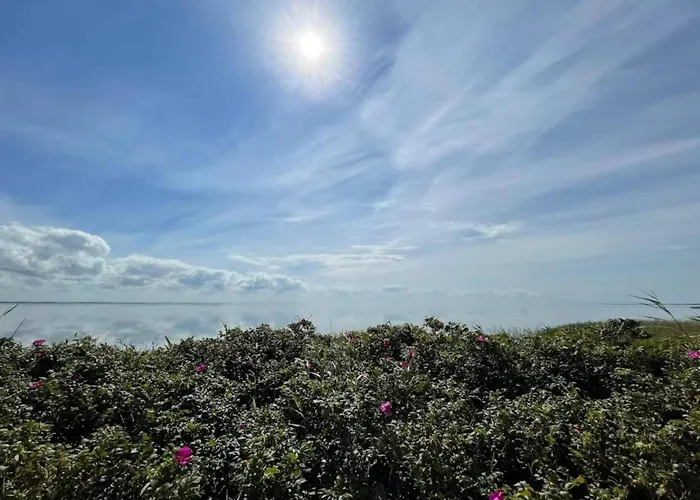 4 Person In Ringkobing-by Traum