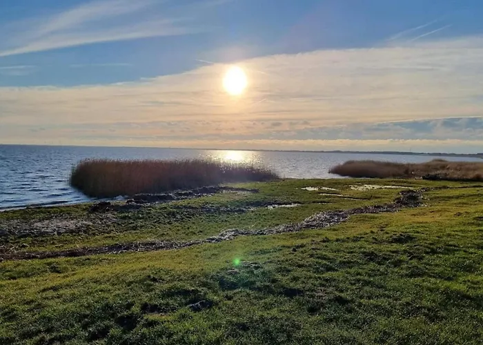 Apartment 4 Person In Ringkobing-by Traum *